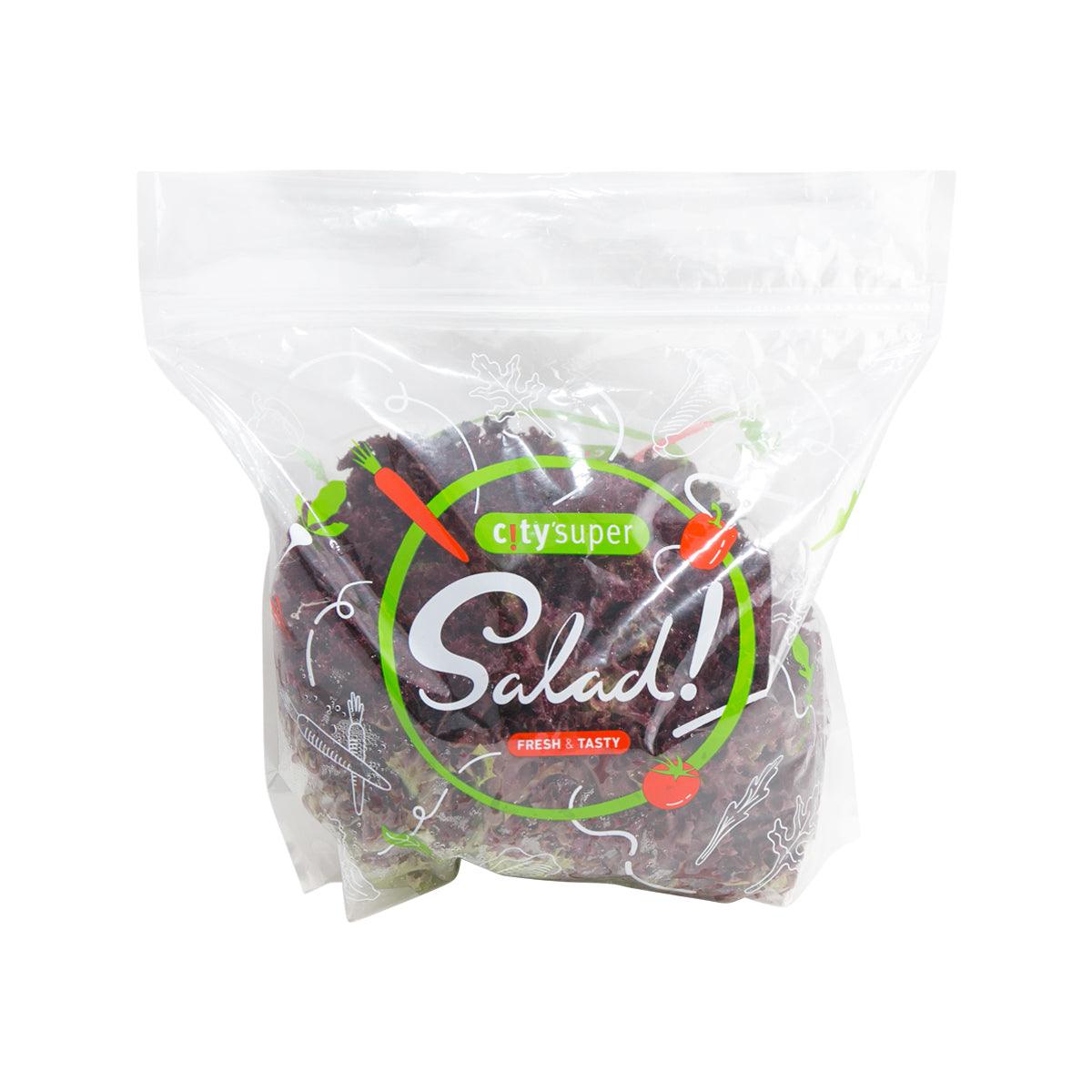Clear plastic bag of French lettuce, labeled “Salad!”