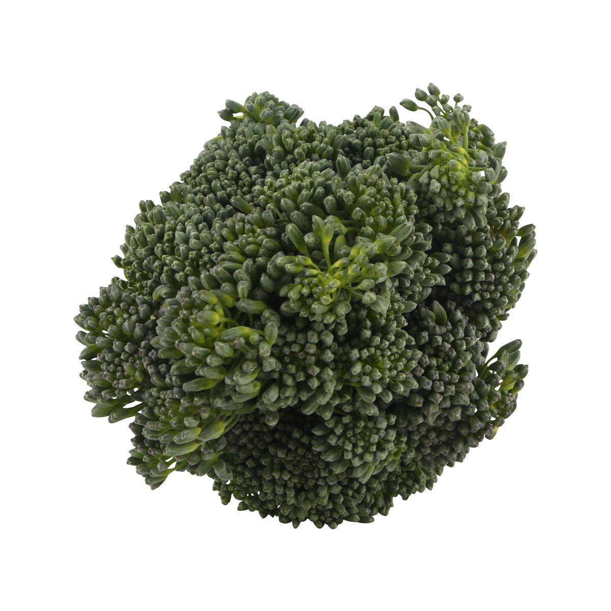 Broccolini bunch with dense green florets and short stems, no band visible.