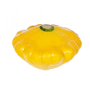 Yellow squash, oval with small green stem