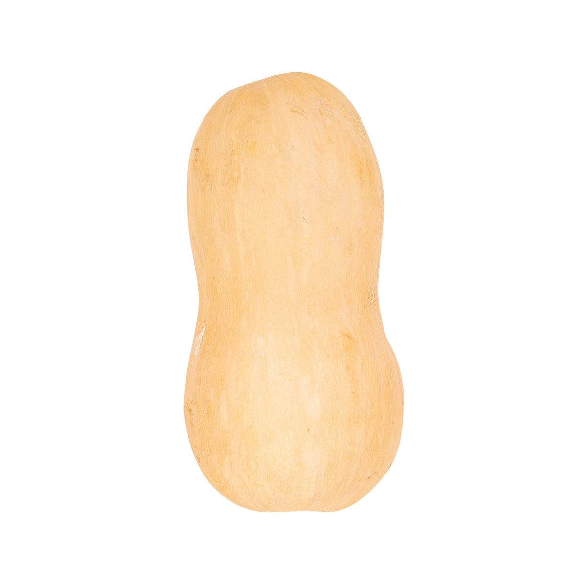 Organic butternut squash (600 g), smooth tan oblong gourd
