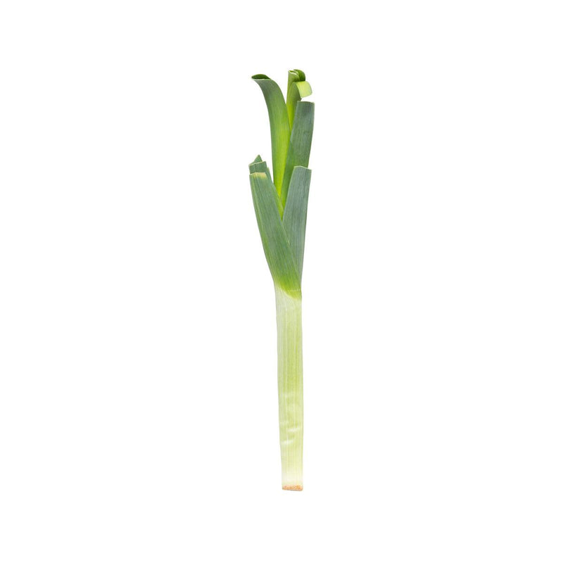 Dutch Leek  (300g)