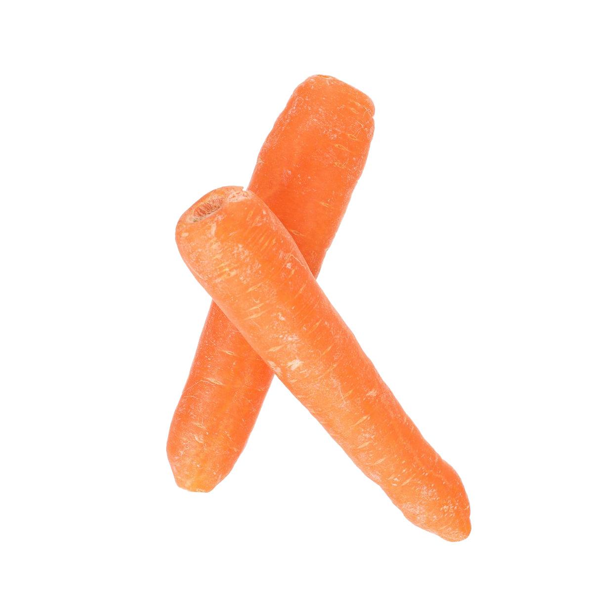 Fresh orange carrot root vegetable