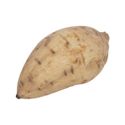 Australian purple sweet potato, whole raw tuber with speckled tan-purple skin