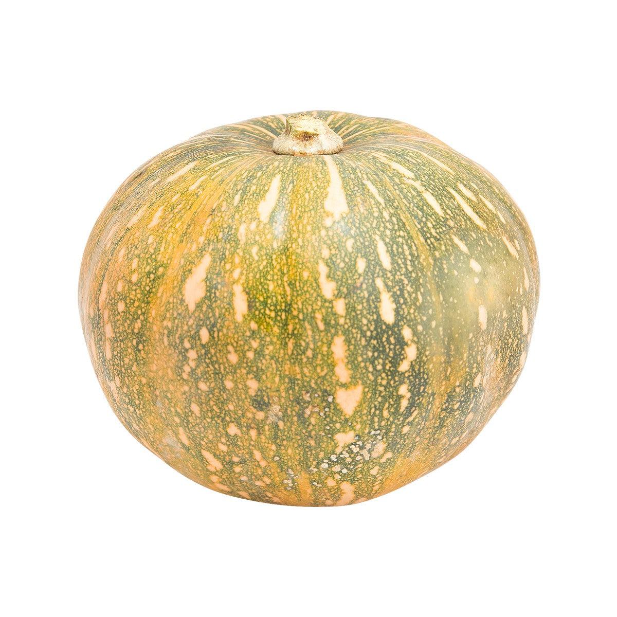 Organic pumpkin, round green-and-yellow speckled squash