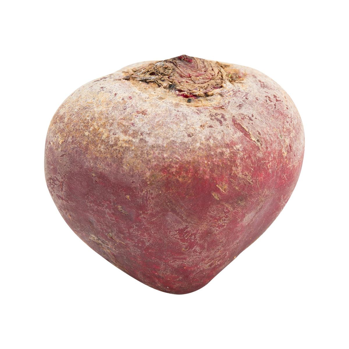 Single fresh beetroot bulb with earthy purple-red skin