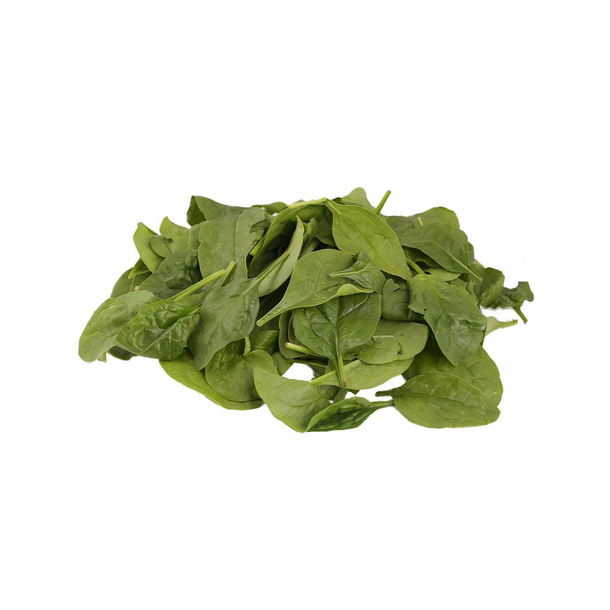 Baby spinach leaves bunch, fresh green leafy greens