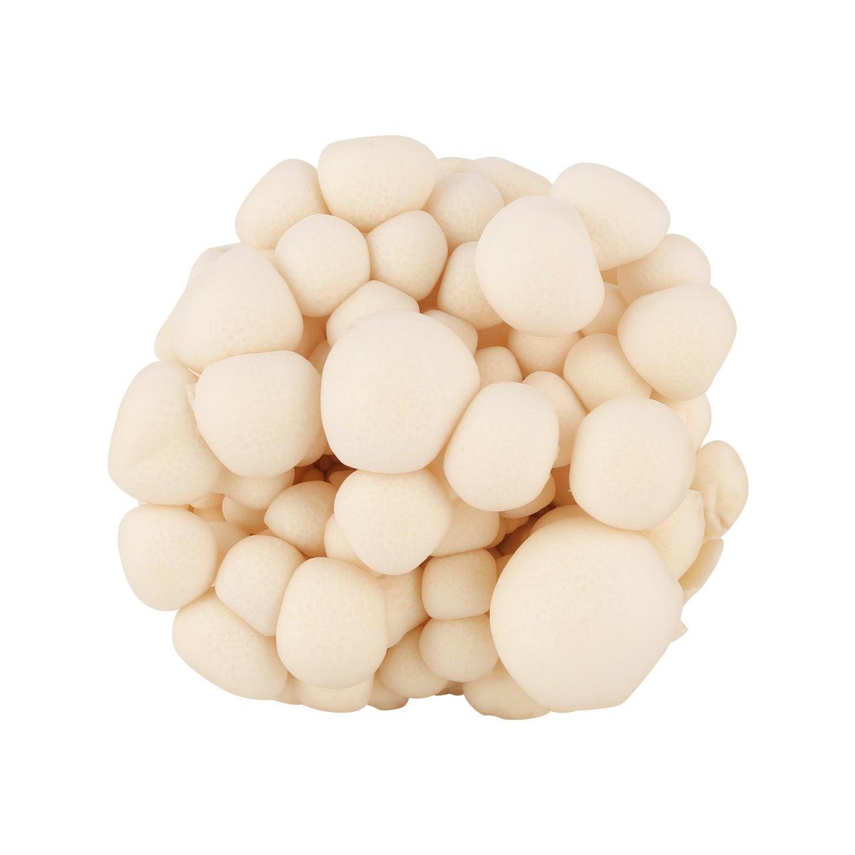 White bunapi shimeji mushrooms, 100 g portion