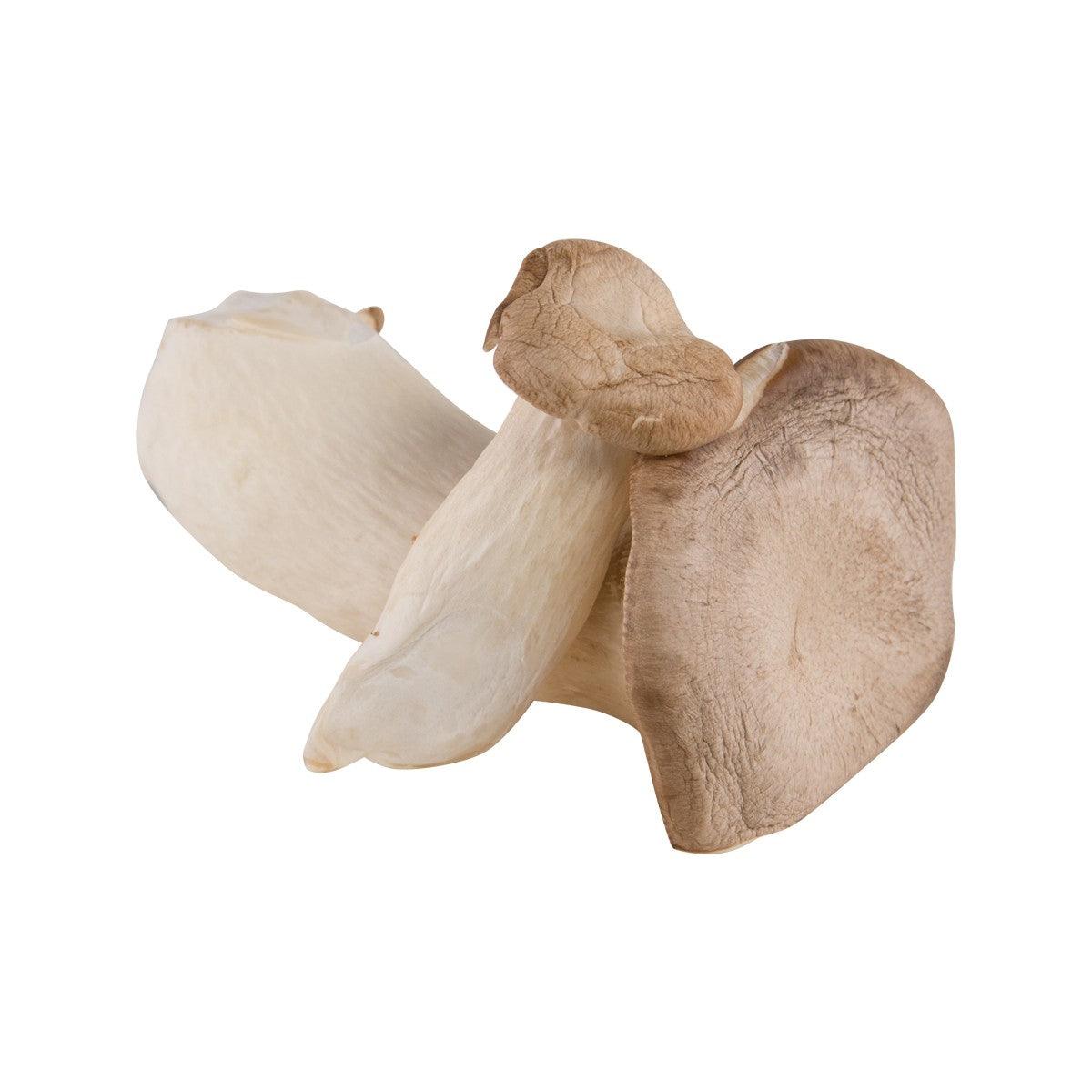 Japanese eringi mushrooms, pale beige and tan, irregular caps and stems