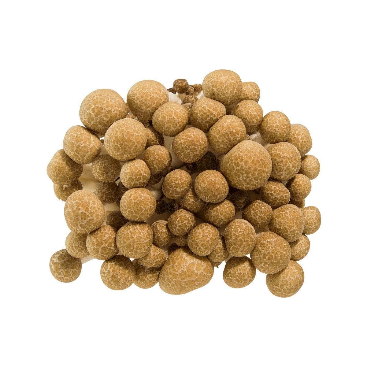 Buna shimeji mushrooms, tan round caps and stems