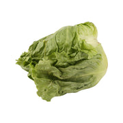 Green leafy Japanese lettuce head, fresh whole vegetable