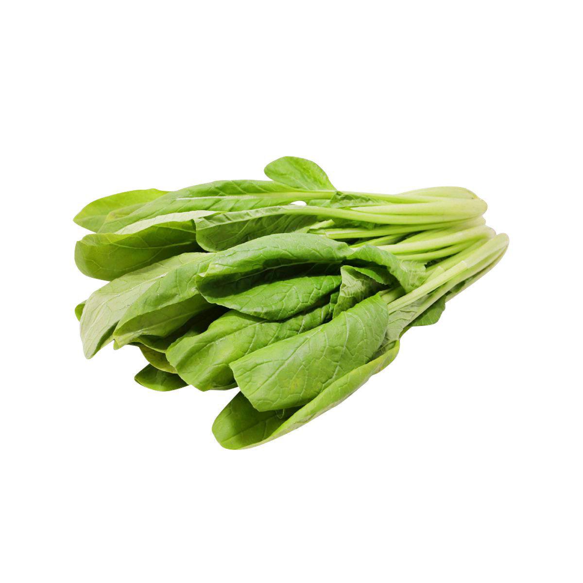 Fresh komatsuna mustard spinach bunch with leafy green greens and stems