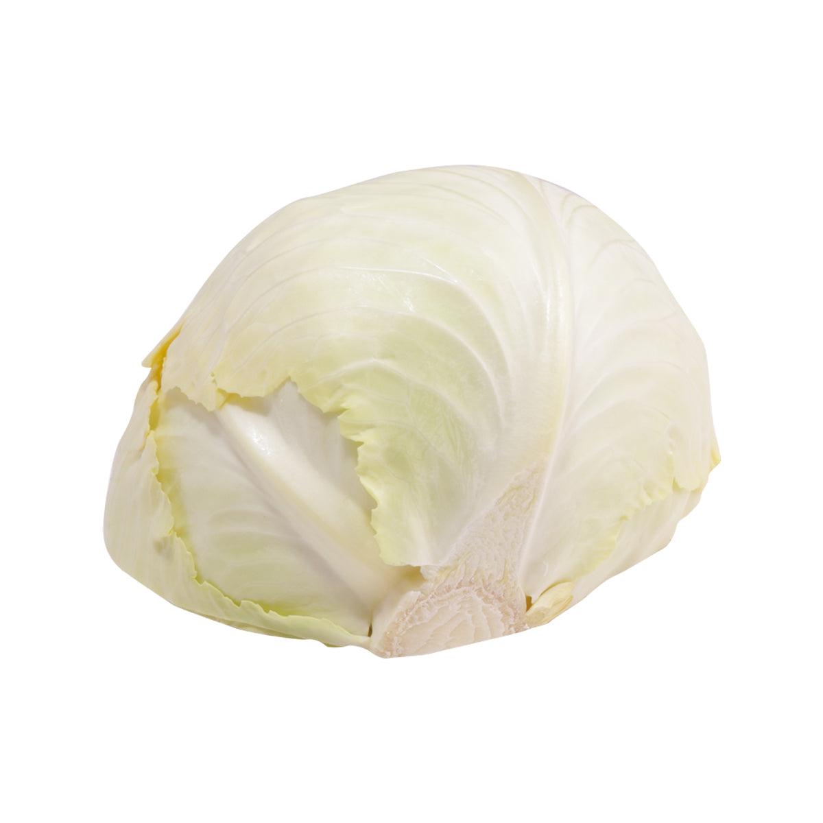 Cut Japanese cabbage wedge, pale green outer leaves and creamy inner core