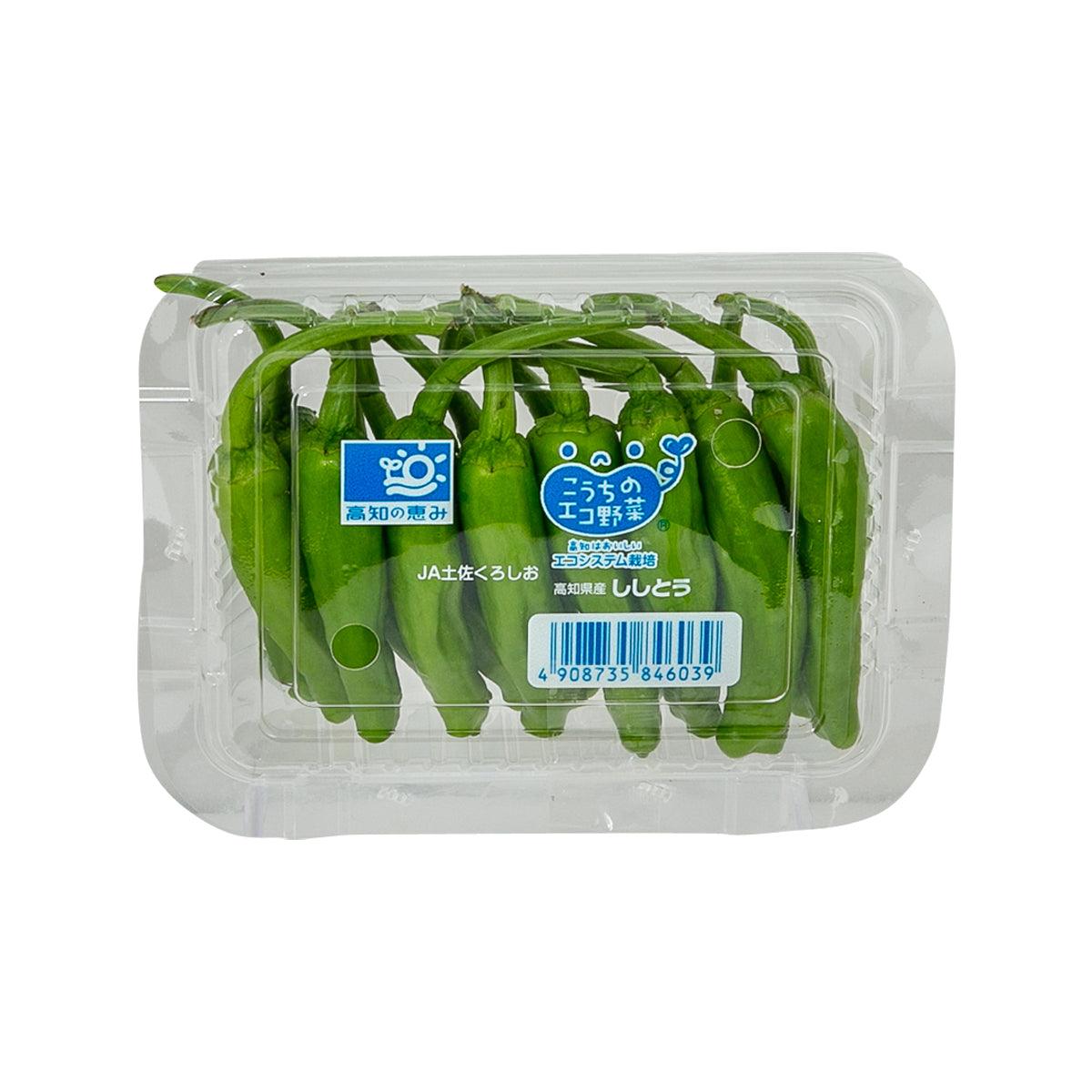 Shishito peppers in clear plastic clamshell, 1 pack