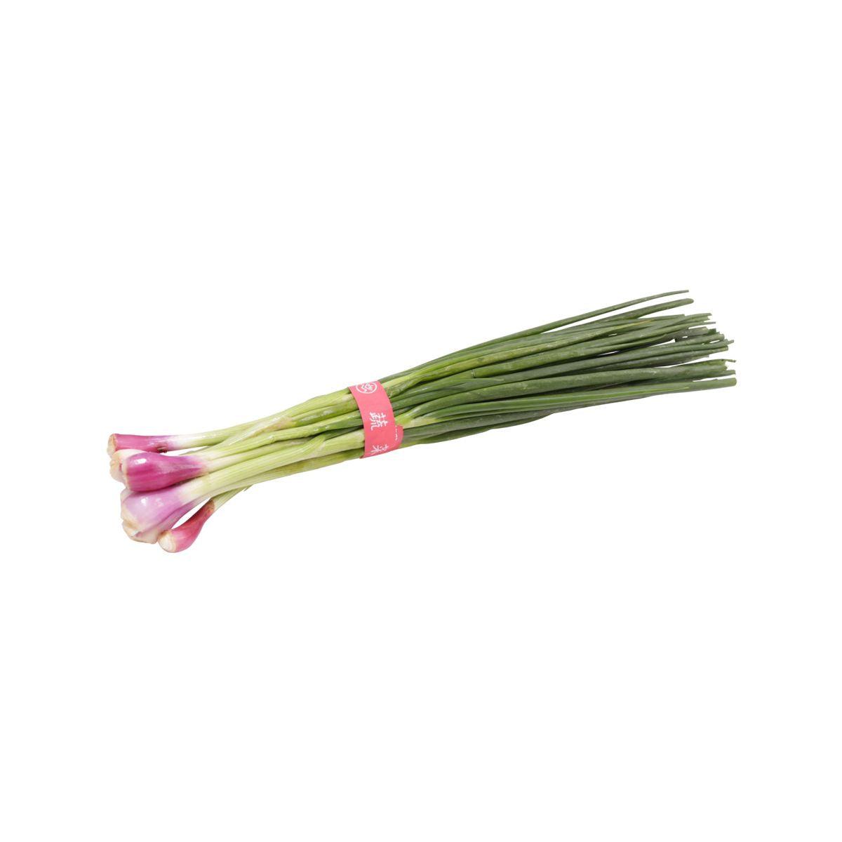 Bunch of Chinese spring onions with white bulbs and green stems, tied with a band