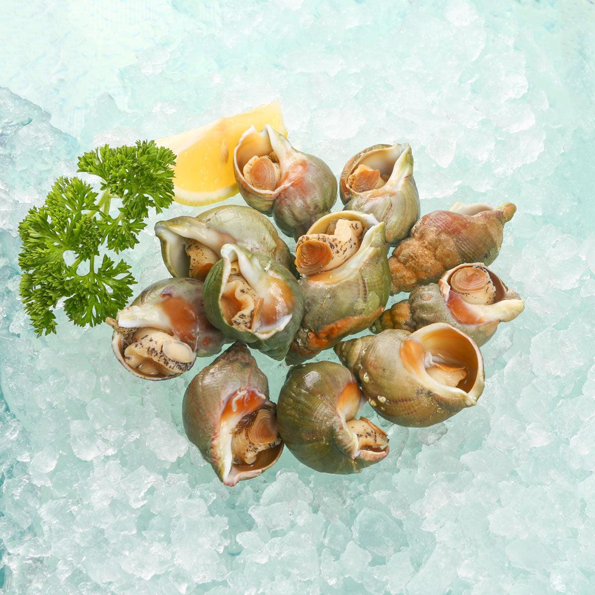 Cooked whelks in shells, previously frozen, 500g