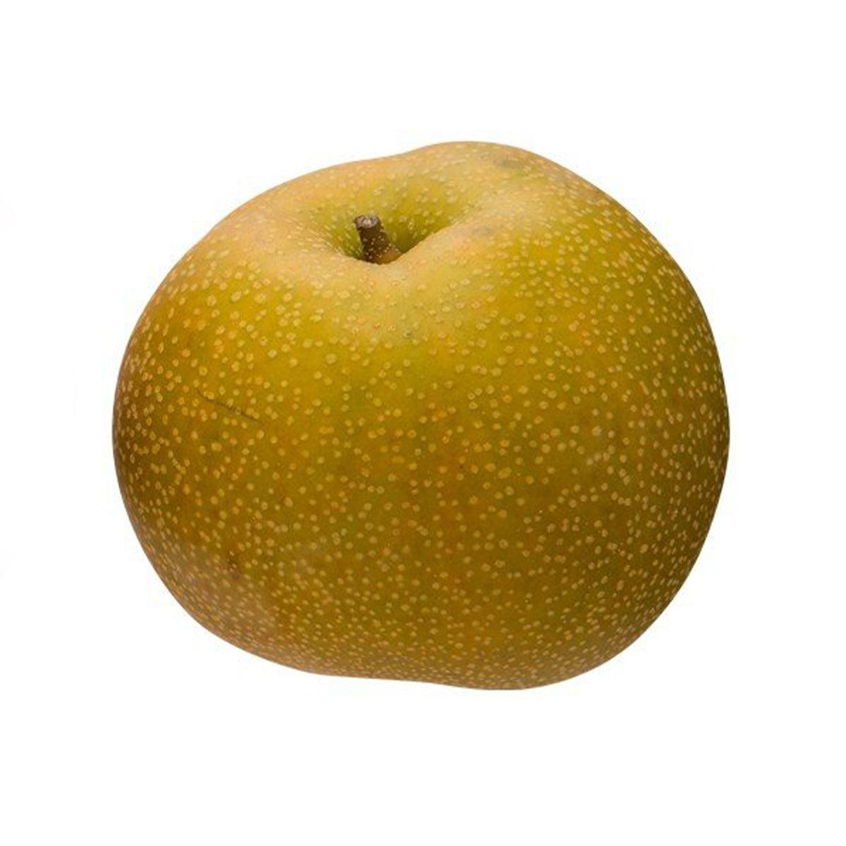 Chinese Akizuki pear with green-yellow speckled skin and short stem