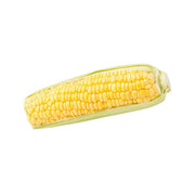 Japanese sweet corn ear with yellow kernels