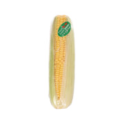 Sweet corn on the cob, yellow kernels, sealed in clear plastic packaging