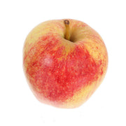 Organic Gala apple, round red and yellow mottled skin with stem