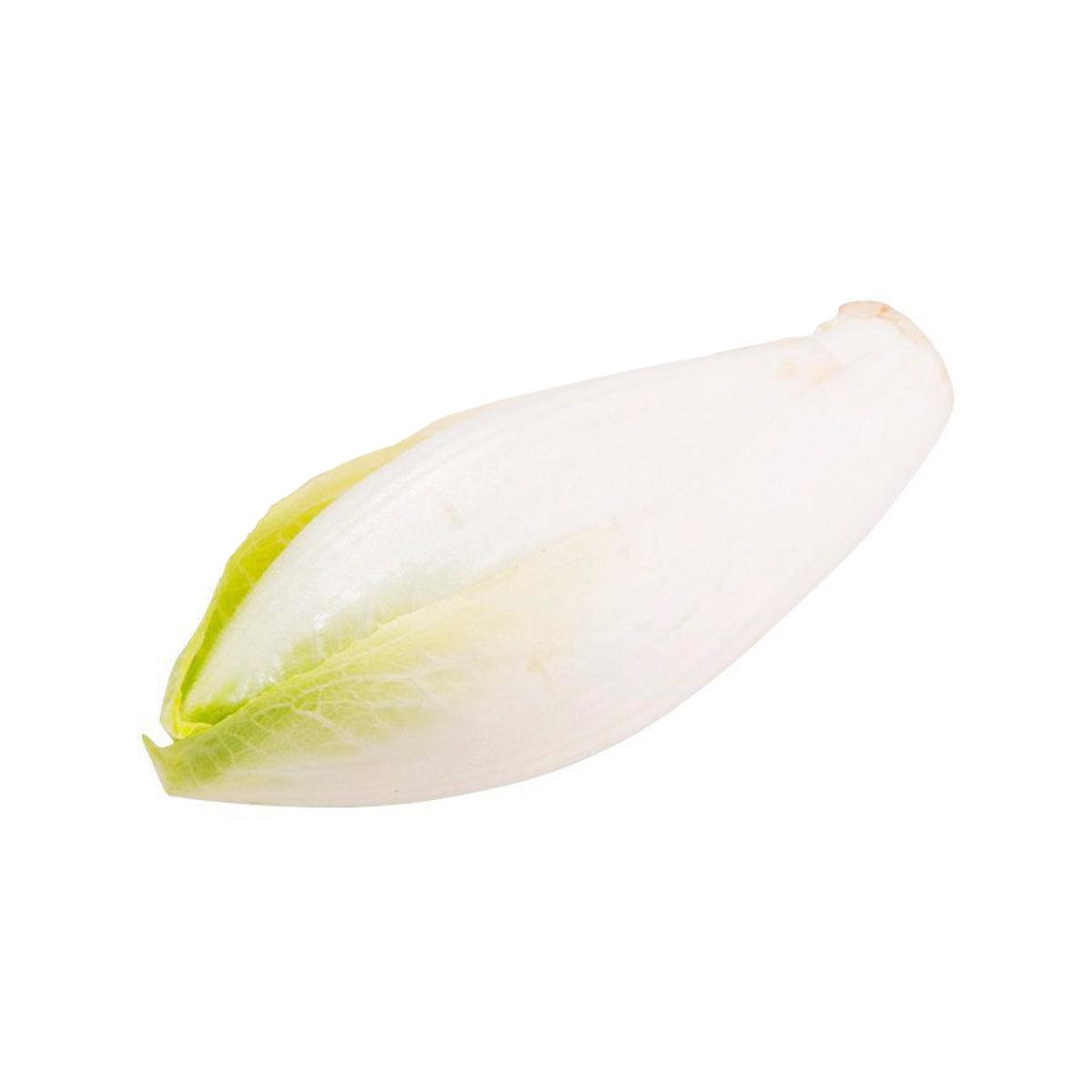 French endive with pale white leaves and a light green base