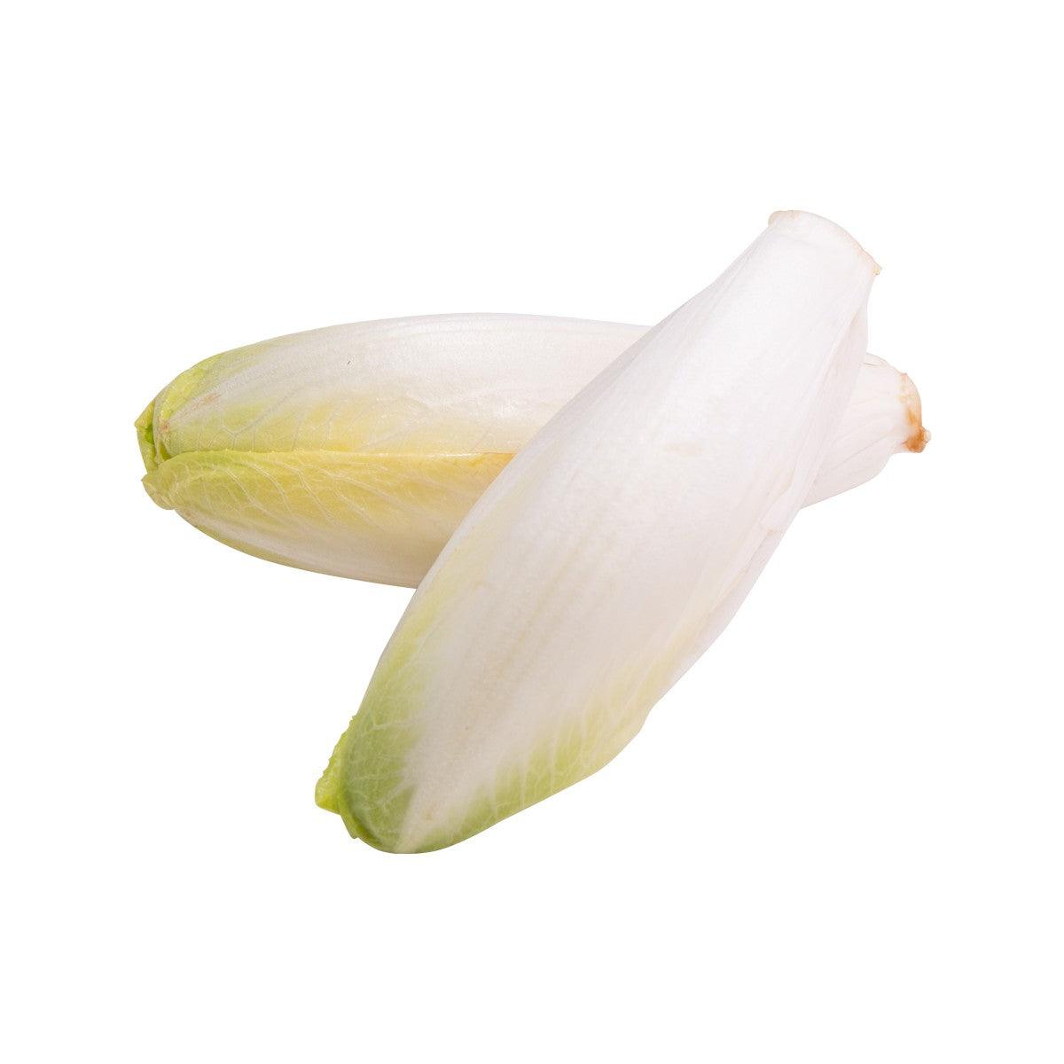 French endive with two heads, pale white leaves and light green base