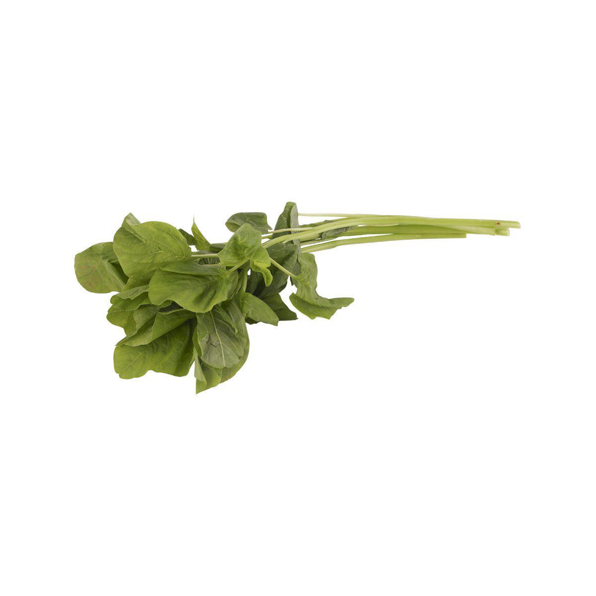 Bunch of organic Chinese spinach with fresh green leafy stems