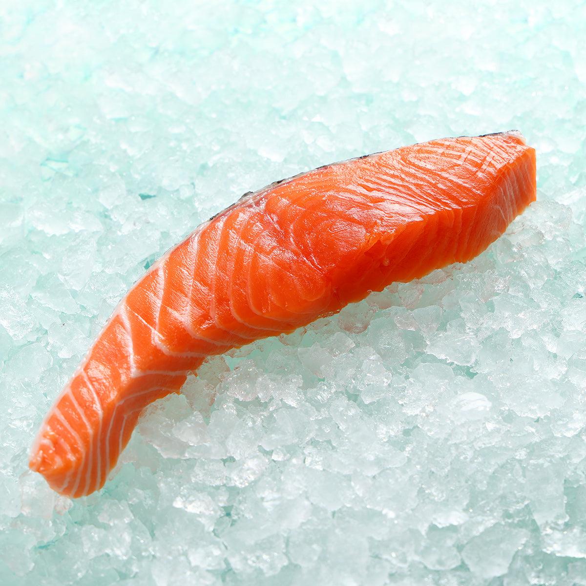 Chilled king salmon fillet, orange-pink, on ice
