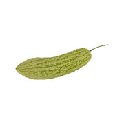Organic bitter melon, green ridged fruit with stem, single piece