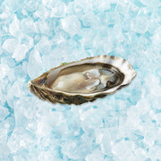 SAINT KERBER French Fine de Claire oyster, open shell with creamy meat