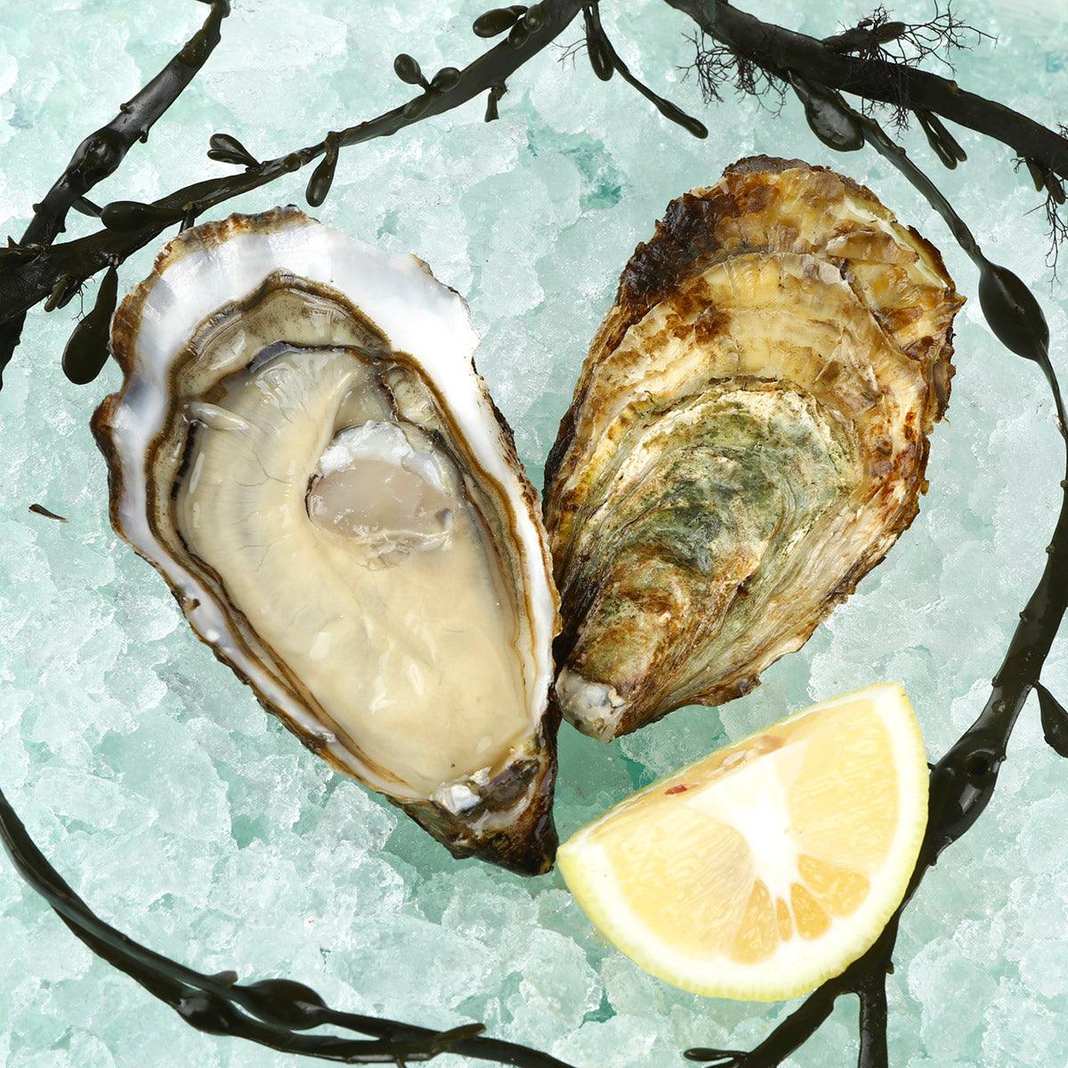Oyster in shell with pale meat and brown-green exterior