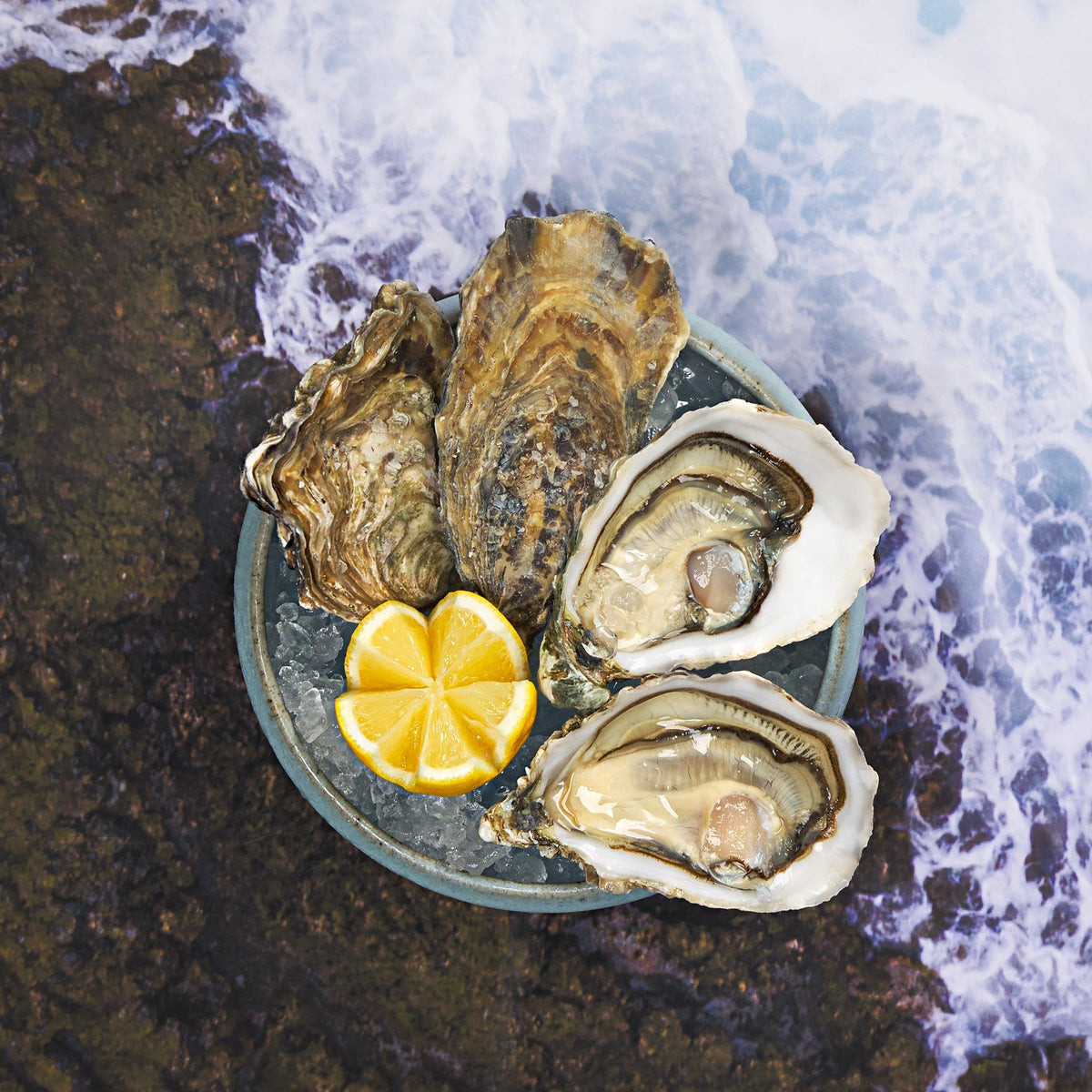 Opened oyster on a round plate with lemon wedges and visible raw meat