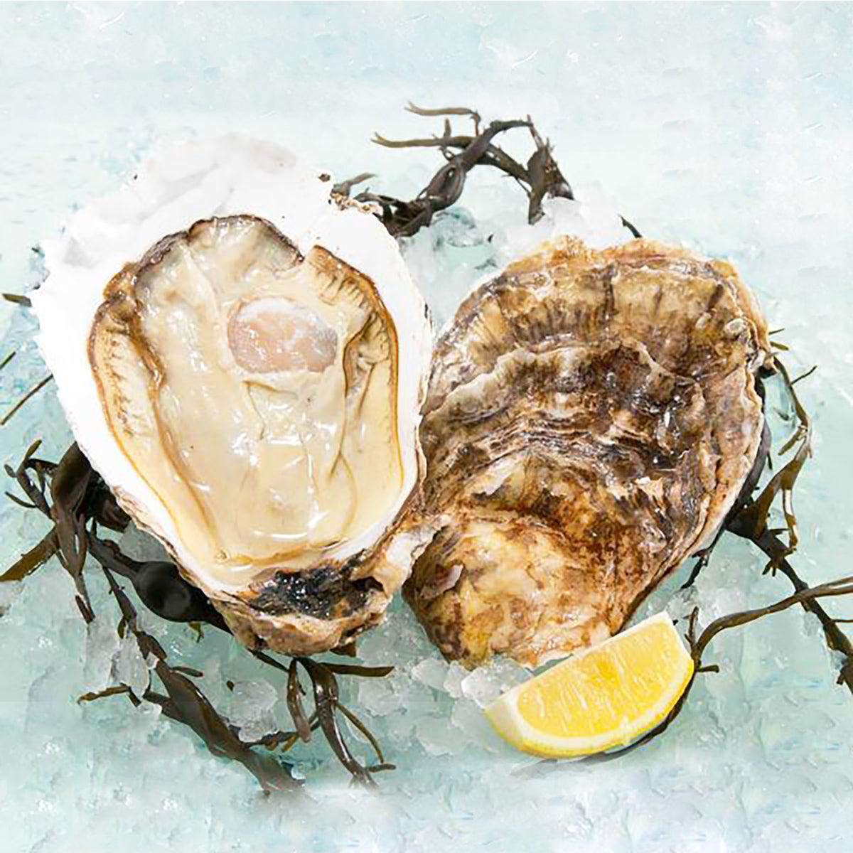 Jumbo Pacific oyster halves with lemon wedge