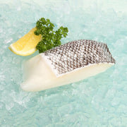 Frozen toothfish slice with white flesh and silvery skin scales