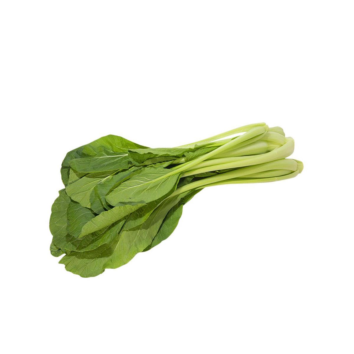 Organic yu choy bunch with bright green leaves and pale stems