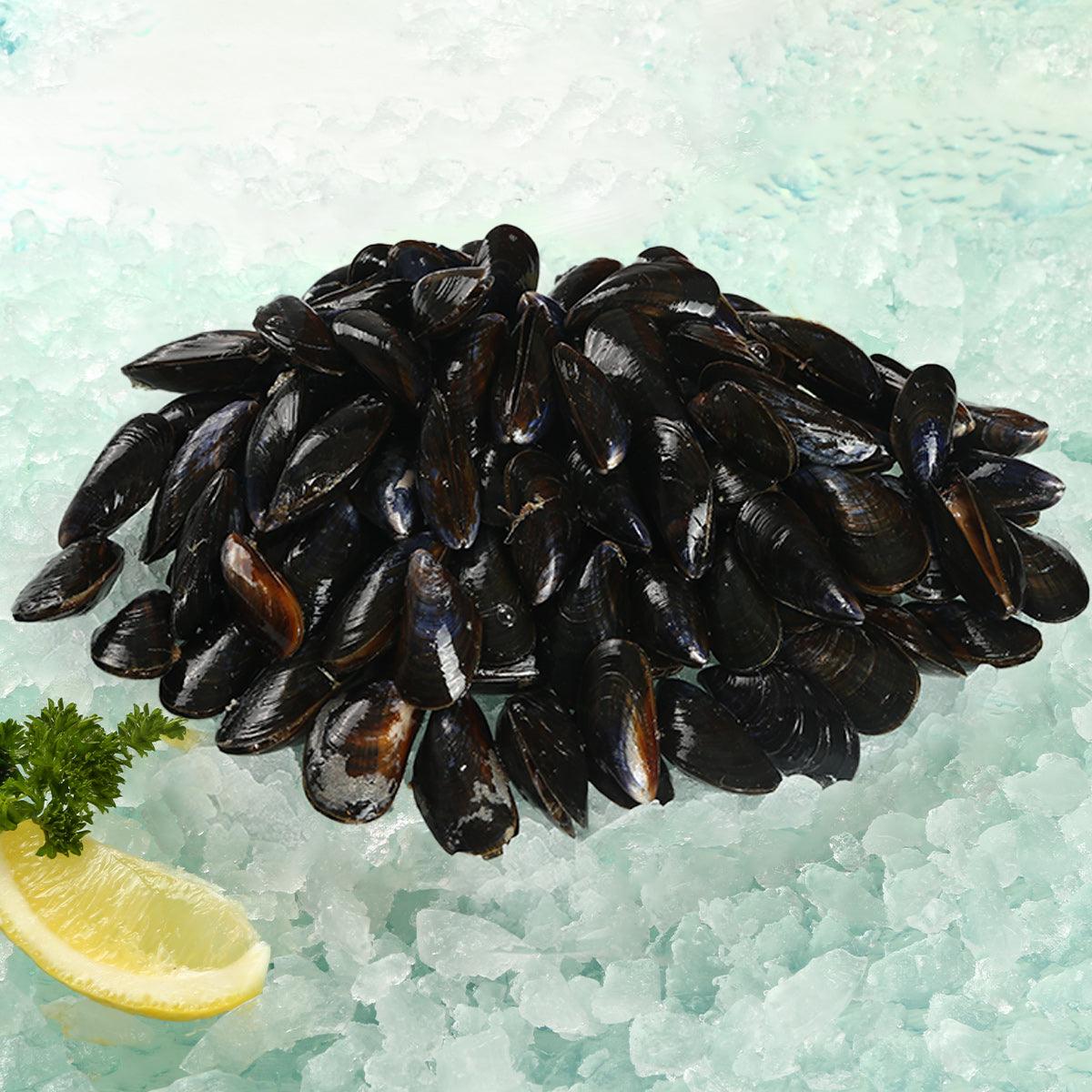 Pile of live blue mussels on ice with lemon wedge