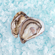 Open oyster in shell with creamy white meat