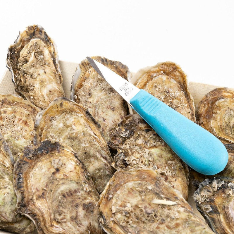 KRYSTALE French Krystale Oyster Nr.2  (12pcs)
