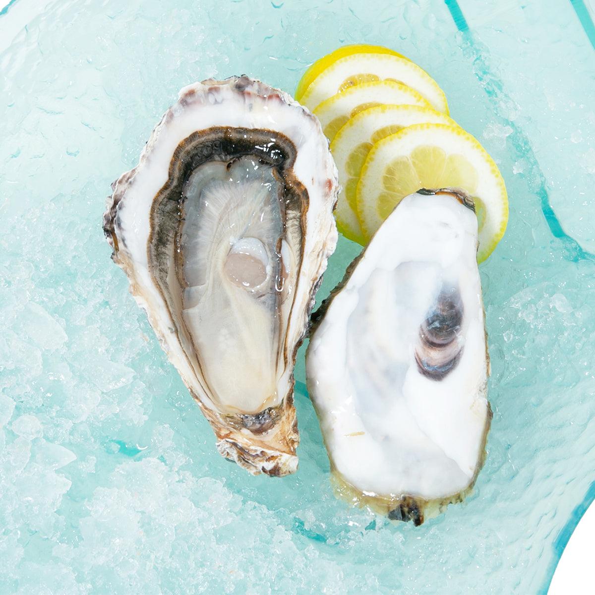 Oyster halves on ice with white flesh and dark, ridged shells
