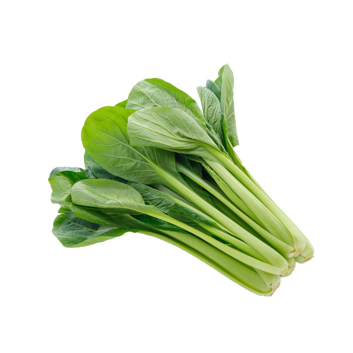 Organic komatsuna greens bunch with fresh green leaves and pale stems