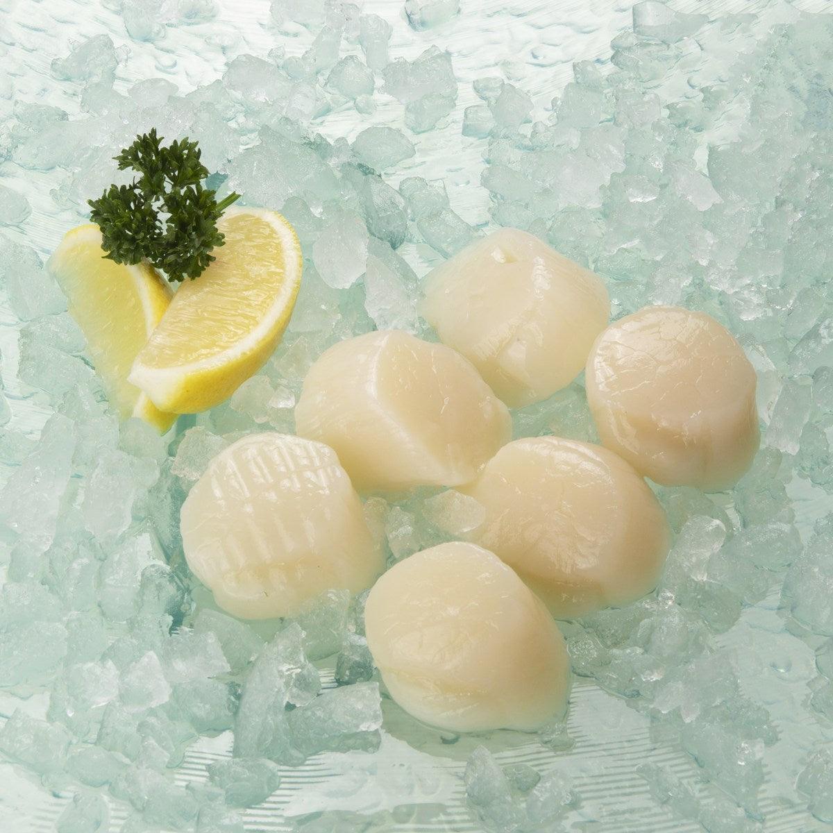 Frozen scallop meat pieces, pale white, for cooking