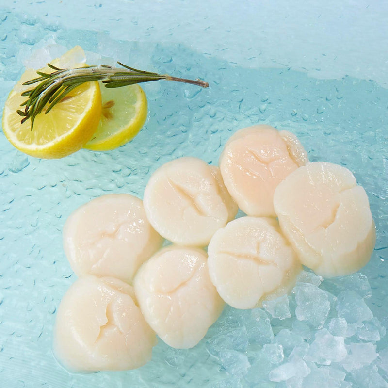 Japan Hokkaido Frozen Scallop U15 for Cooking  (300g)