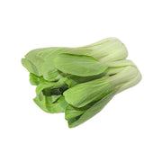 Bunch of fresh green Japanese Shanghai pakchoi with pale stems and broad leaves