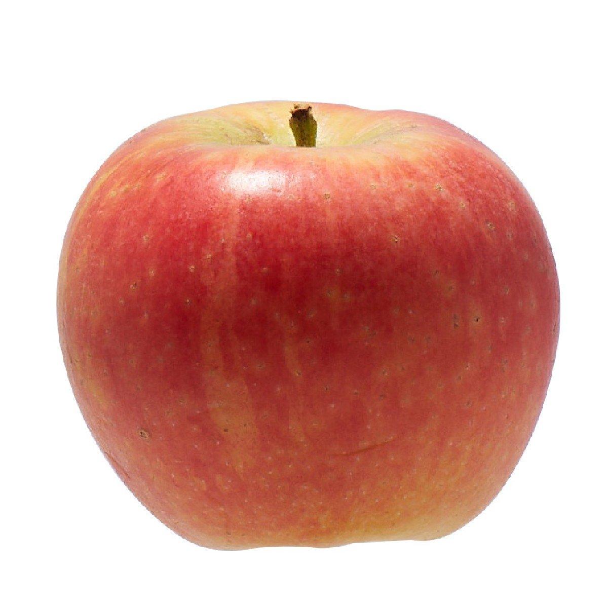 Japanese Tsugaru apple fruit, round red with yellow-green highlights and stem