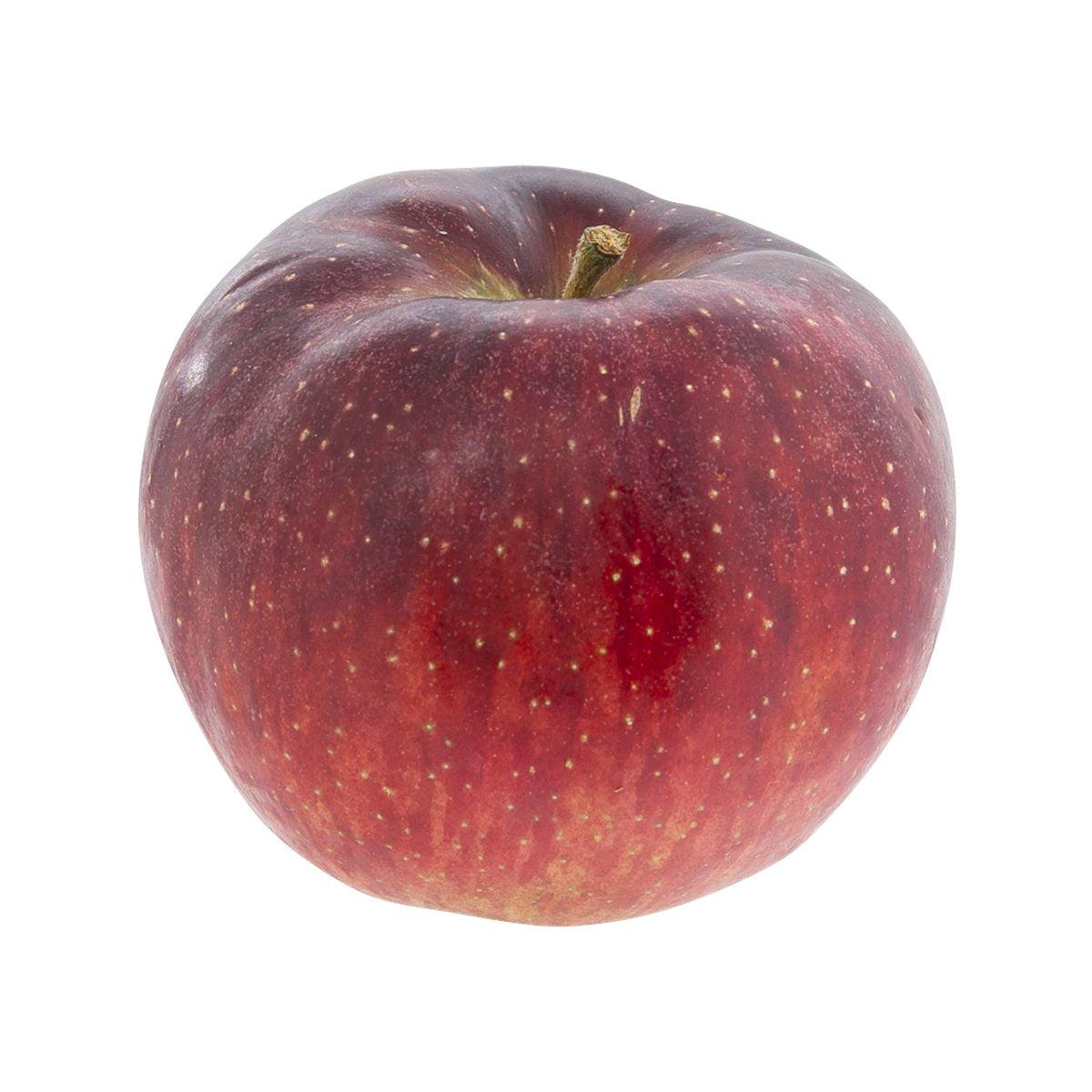 Whole red-and-purple speckled apple with short stem
