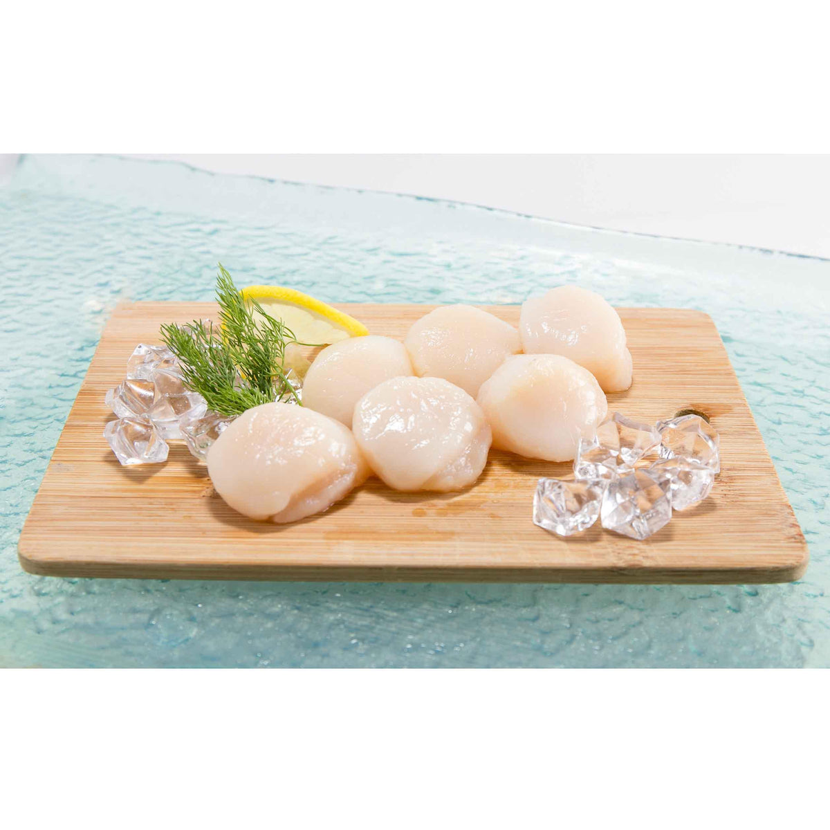 Scallop meat on wooden board with lemon, dill, and ice cubes