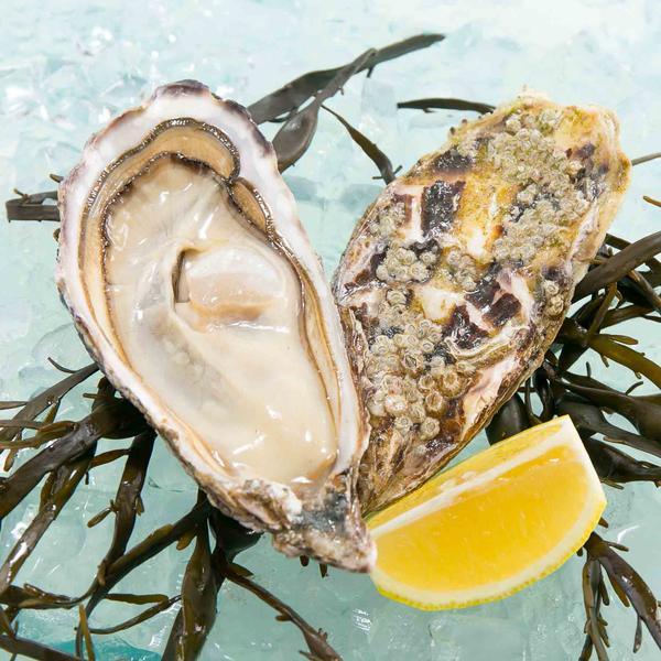 Open oyster shells with clear liquor and seaweed, French Gillardeau style