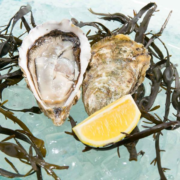 Open pearl oyster shell with pearly white interior