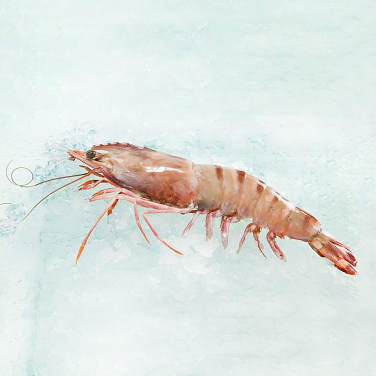 Previously frozen tiger prawn with shell and legs, pink-orange raw shrimp, 350g pack