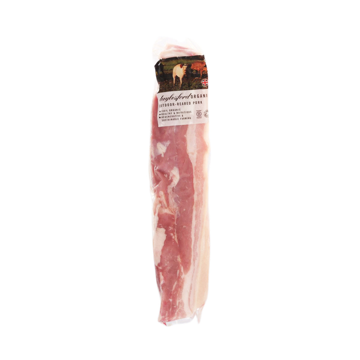 Skin-on bone-in pork belly in vacuum pack, centered; raw pink meat and pale fat layer