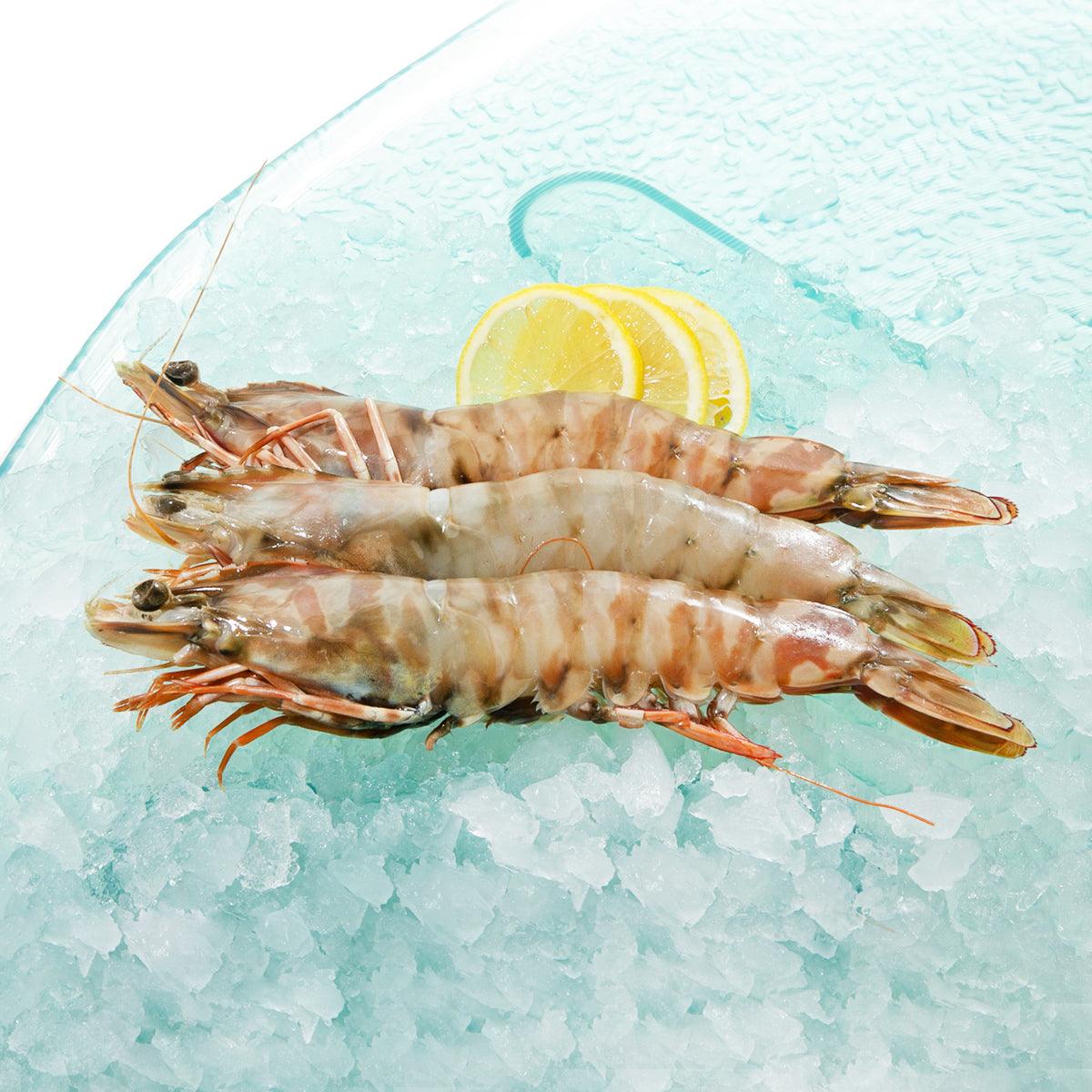 Frozen tiger prawns on crushed ice, whole with shells and tails
